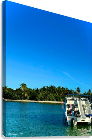 2429665 :: Giclée Stretched Canvas Print